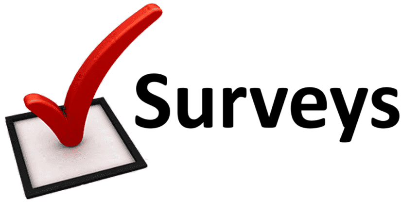 Other Surveys Logo